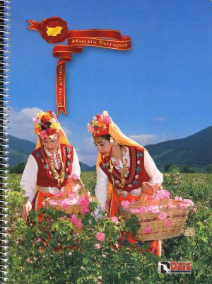 Тетрадка В5 Спирала  ОФСЕТ 100л. ДЕЙС  !!!