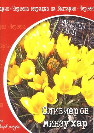 Тетрадка  А5 вестник РЕД- 80л. ЕКОБЕЛАН   !!!