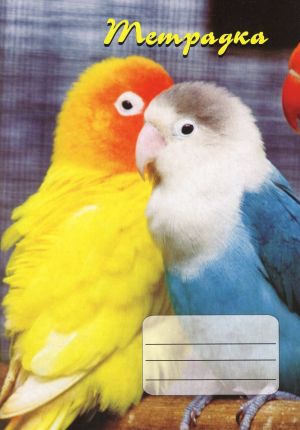 Тетрадка  А5 вестник РЕД- 56л. ЕКОБЕЛАН   !!!