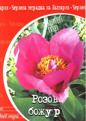 Тетрадка  А5 вестник РЕД- 56л. ЕКОБЕЛАН   !!!