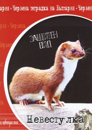 Тетрадка  А5 вестник  20л.  ТШР  ЕКОБЕЛАН  !!!