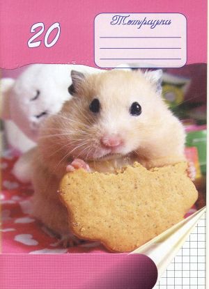 Тетрадка  А5 вестник  20л. М. КВ. ЕКОБЕЛАН  !!!