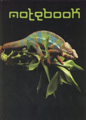 Тетрадка  А4 ШИТА  ОФСЕТ 100л. ДЕЙС  ТК  !!!