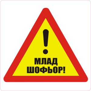Пиктограми  ДИНЕЛ  Млад шофьор  2бр.  №511