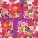 Хартия опаковачна  70/100 Лакирана ЦВЕТНА   !!!