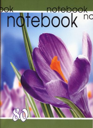 Тетрадка  А4 ОФСЕТ- 80л. КАРЕ ЕКО УВ ЛАК  !!!