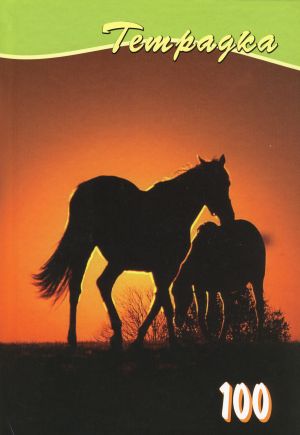 Тетрадка А5 Тв.кори 100л. ОФСЕТ УВ ЛАК