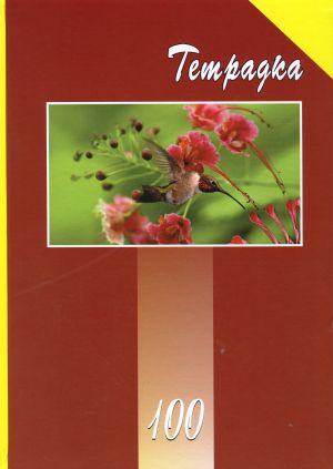 Тетрадка А4 Тв.кори 100л.  ОФСЕТ  УВ ЛАК  КАРЕ
