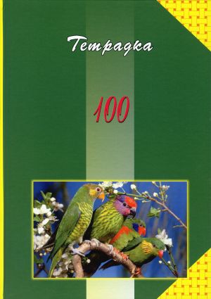 Тетрадка А4 Тв.кори 100л.  ОФСЕТ  УВ ЛАК  КАРЕ