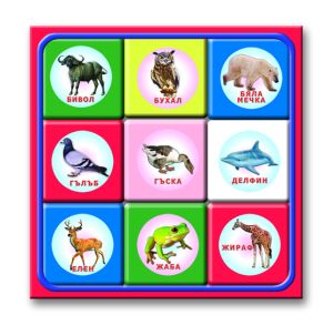 Кубчета ПВЦ с Картинки  9бр. Малки